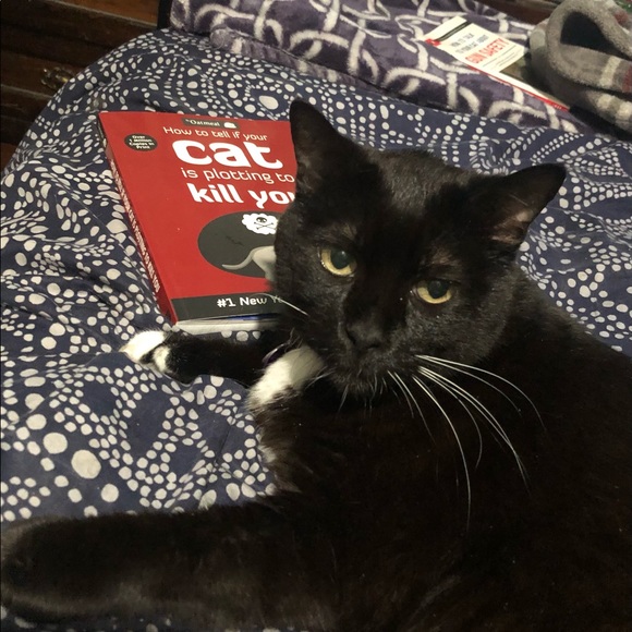 Meet your Posher, Angela - Picture 4 of 6